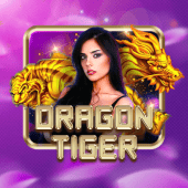 Dragon Tiger Scatter Slots live game